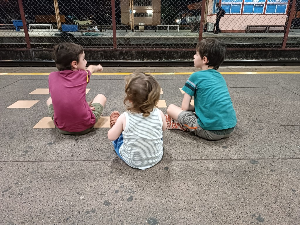 J21 – J22 : On retente le train de&nbsp;nuit