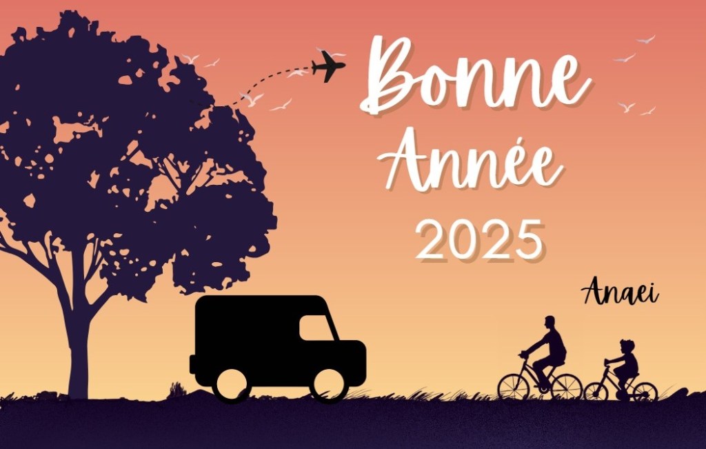 Bonne année 2025 !